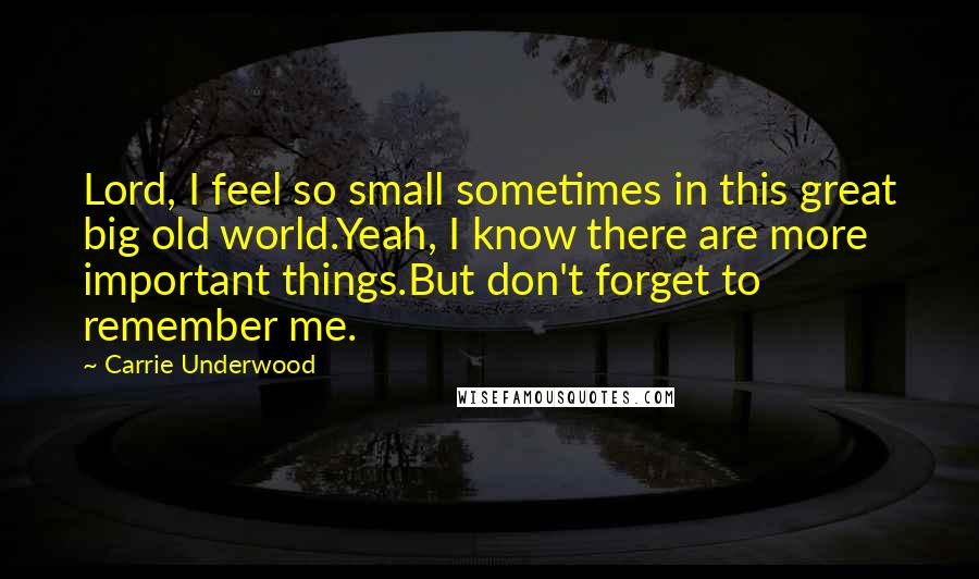 Carrie Underwood Quotes: Lord, I feel so small sometimes in this great big old world.Yeah, I know there are more important things.But don't forget to remember me.