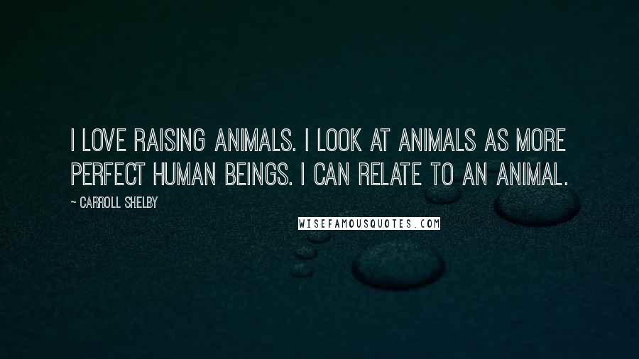 Carroll Shelby Quotes: I love raising animals. I look at animals as more perfect human beings. I can relate to an animal.