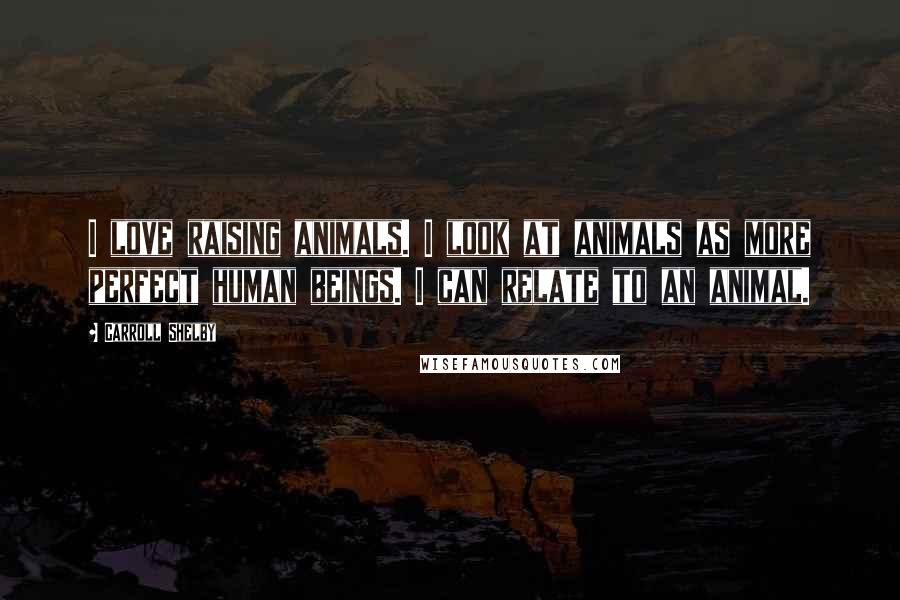 Carroll Shelby Quotes: I love raising animals. I look at animals as more perfect human beings. I can relate to an animal.