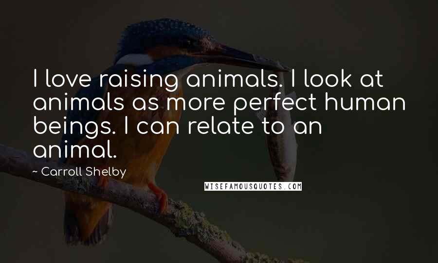 Carroll Shelby Quotes: I love raising animals. I look at animals as more perfect human beings. I can relate to an animal.