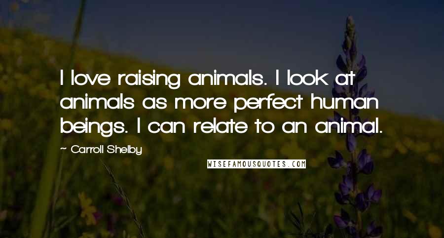 Carroll Shelby Quotes: I love raising animals. I look at animals as more perfect human beings. I can relate to an animal.