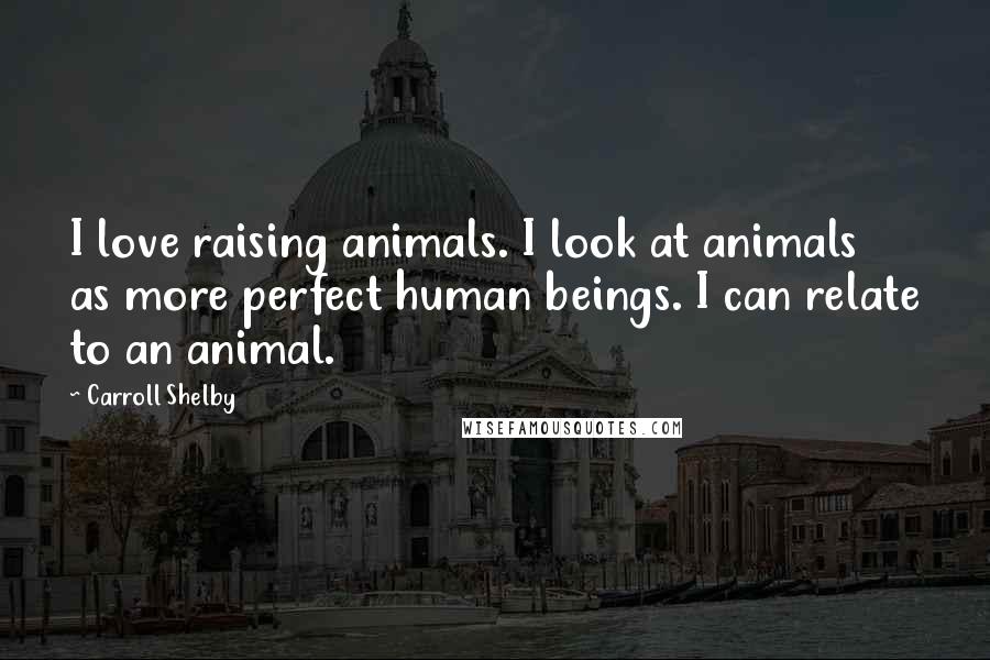 Carroll Shelby Quotes: I love raising animals. I look at animals as more perfect human beings. I can relate to an animal.