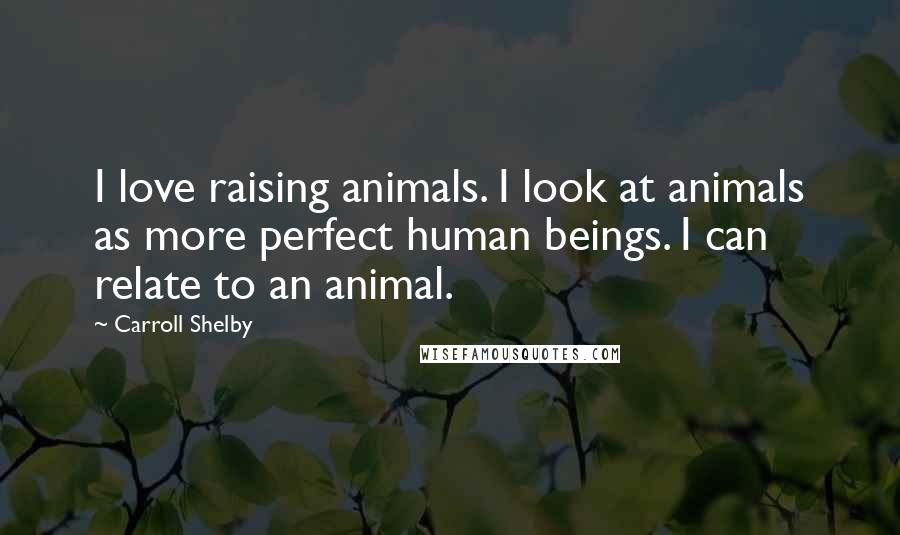 Carroll Shelby Quotes: I love raising animals. I look at animals as more perfect human beings. I can relate to an animal.