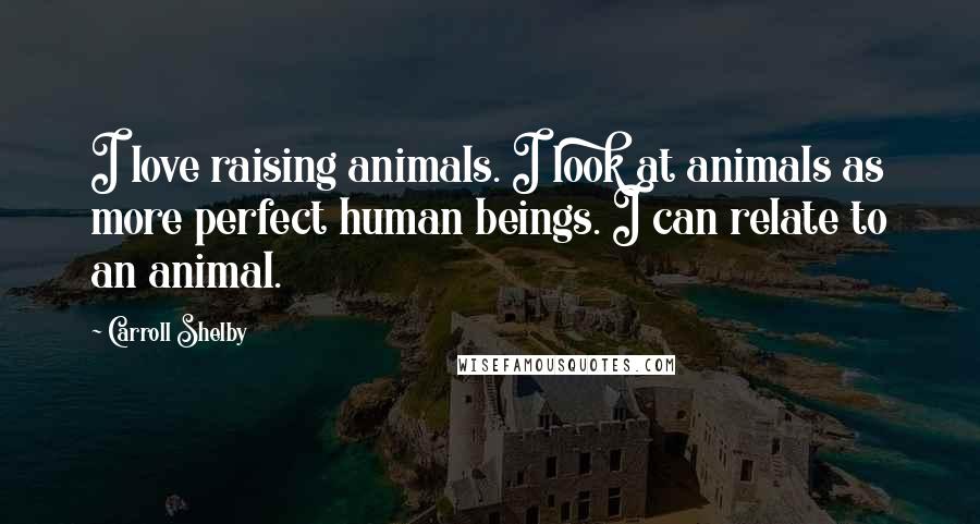 Carroll Shelby Quotes: I love raising animals. I look at animals as more perfect human beings. I can relate to an animal.