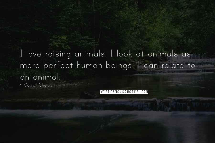 Carroll Shelby Quotes: I love raising animals. I look at animals as more perfect human beings. I can relate to an animal.