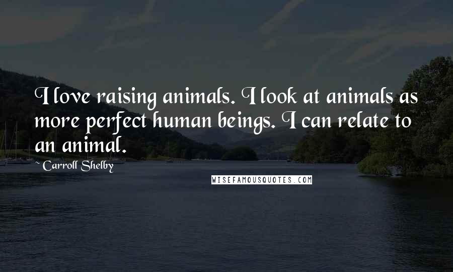 Carroll Shelby Quotes: I love raising animals. I look at animals as more perfect human beings. I can relate to an animal.