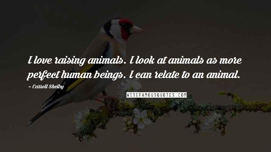 Carroll Shelby Quotes: I love raising animals. I look at animals as more perfect human beings. I can relate to an animal.