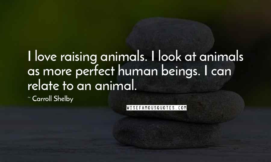 Carroll Shelby Quotes: I love raising animals. I look at animals as more perfect human beings. I can relate to an animal.