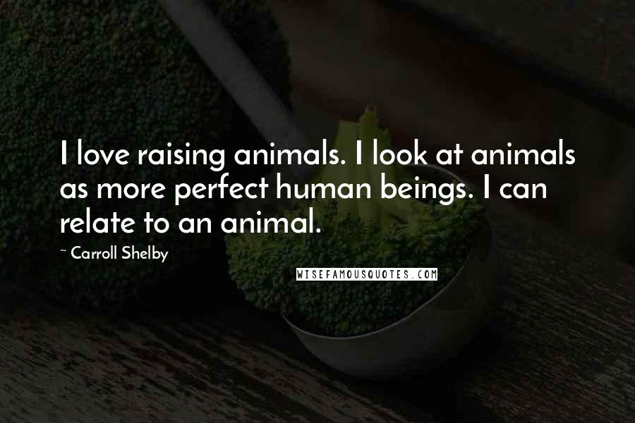 Carroll Shelby Quotes: I love raising animals. I look at animals as more perfect human beings. I can relate to an animal.