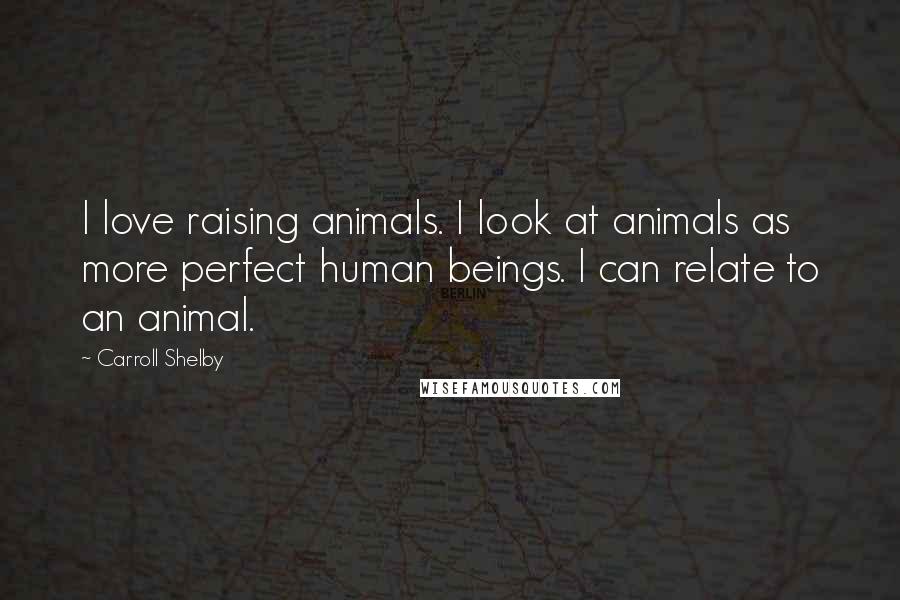 Carroll Shelby Quotes: I love raising animals. I look at animals as more perfect human beings. I can relate to an animal.