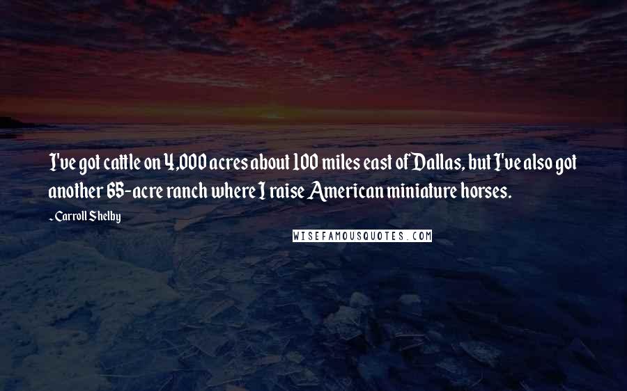 Carroll Shelby Quotes: I've got cattle on 4,000 acres about 100 miles east of Dallas, but I've also got another 65-acre ranch where I raise American miniature horses.