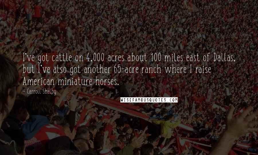 Carroll Shelby Quotes: I've got cattle on 4,000 acres about 100 miles east of Dallas, but I've also got another 65-acre ranch where I raise American miniature horses.