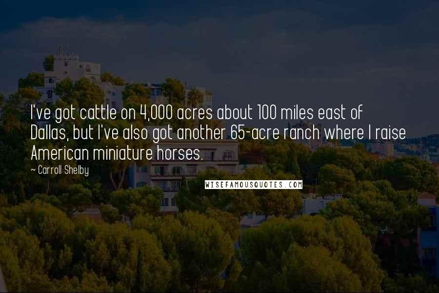 Carroll Shelby Quotes: I've got cattle on 4,000 acres about 100 miles east of Dallas, but I've also got another 65-acre ranch where I raise American miniature horses.