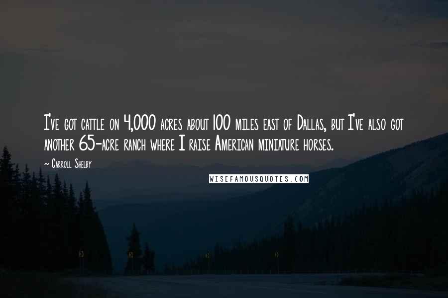 Carroll Shelby Quotes: I've got cattle on 4,000 acres about 100 miles east of Dallas, but I've also got another 65-acre ranch where I raise American miniature horses.