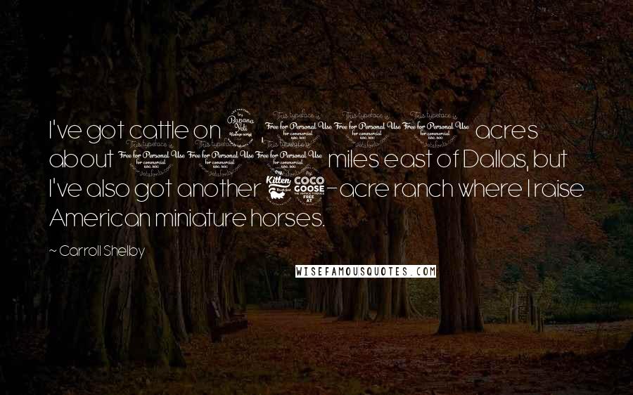 Carroll Shelby Quotes: I've got cattle on 4,000 acres about 100 miles east of Dallas, but I've also got another 65-acre ranch where I raise American miniature horses.