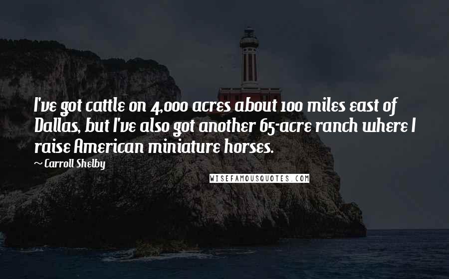 Carroll Shelby Quotes: I've got cattle on 4,000 acres about 100 miles east of Dallas, but I've also got another 65-acre ranch where I raise American miniature horses.