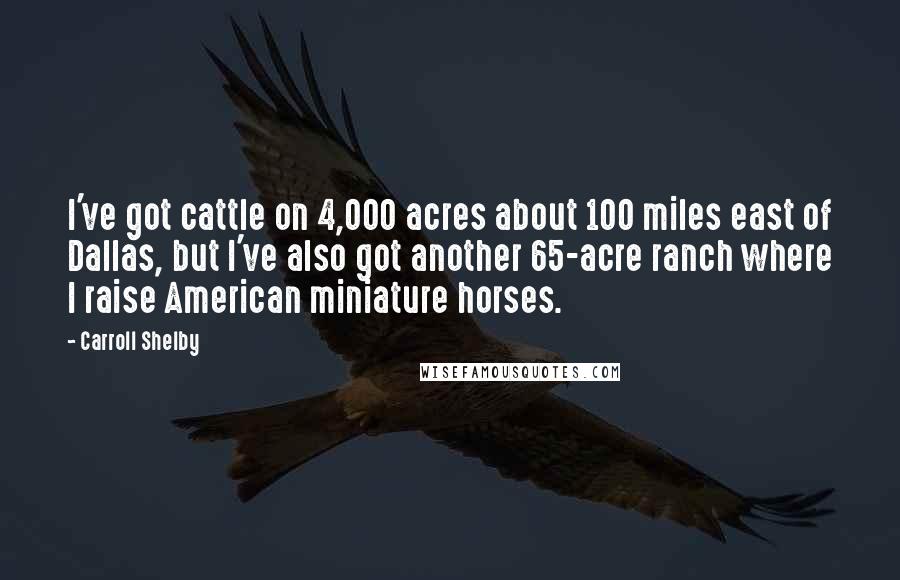 Carroll Shelby Quotes: I've got cattle on 4,000 acres about 100 miles east of Dallas, but I've also got another 65-acre ranch where I raise American miniature horses.