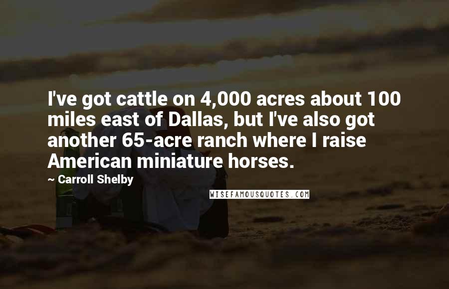 Carroll Shelby Quotes: I've got cattle on 4,000 acres about 100 miles east of Dallas, but I've also got another 65-acre ranch where I raise American miniature horses.