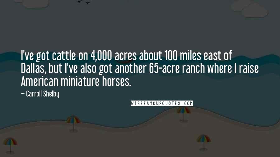 Carroll Shelby Quotes: I've got cattle on 4,000 acres about 100 miles east of Dallas, but I've also got another 65-acre ranch where I raise American miniature horses.