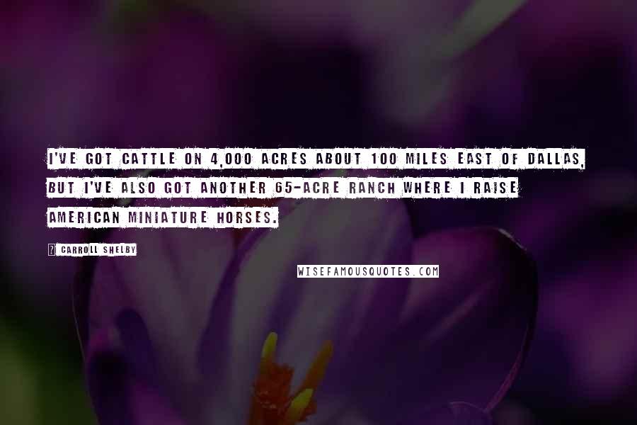 Carroll Shelby Quotes: I've got cattle on 4,000 acres about 100 miles east of Dallas, but I've also got another 65-acre ranch where I raise American miniature horses.