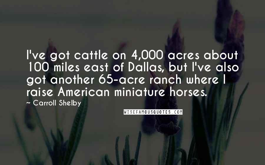 Carroll Shelby Quotes: I've got cattle on 4,000 acres about 100 miles east of Dallas, but I've also got another 65-acre ranch where I raise American miniature horses.