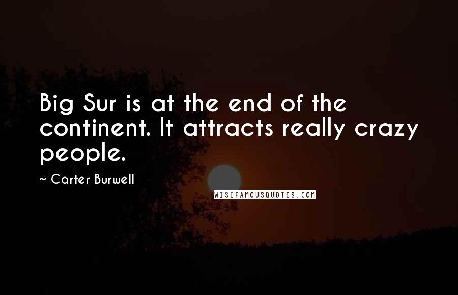 Carter Burwell Quotes: Big Sur is at the end of the continent. It attracts really crazy people.