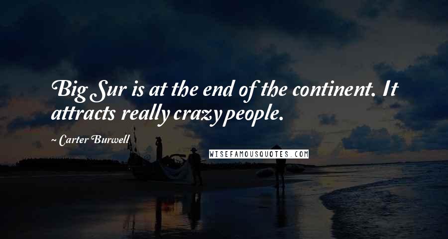 Carter Burwell Quotes: Big Sur is at the end of the continent. It attracts really crazy people.