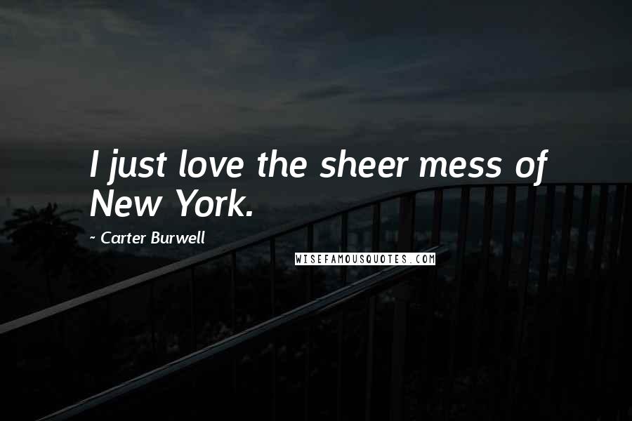 Carter Burwell Quotes: I just love the sheer mess of New York.