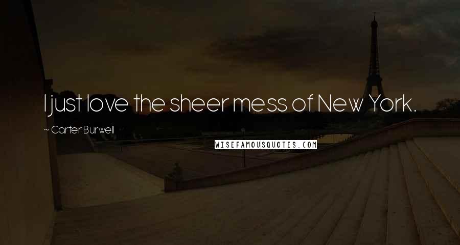 Carter Burwell Quotes: I just love the sheer mess of New York.