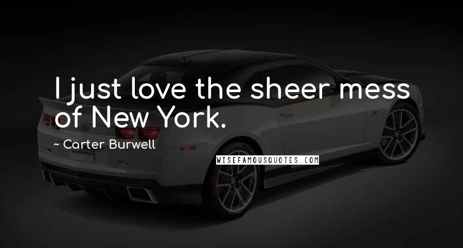 Carter Burwell Quotes: I just love the sheer mess of New York.