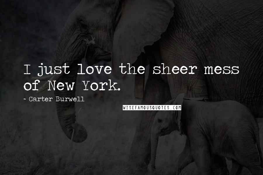 Carter Burwell Quotes: I just love the sheer mess of New York.