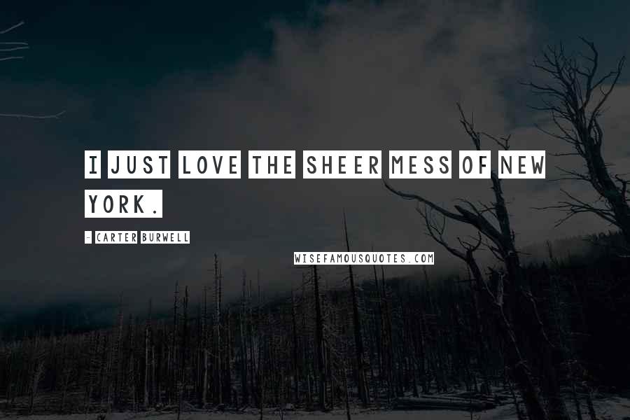 Carter Burwell Quotes: I just love the sheer mess of New York.