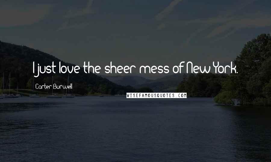 Carter Burwell Quotes: I just love the sheer mess of New York.