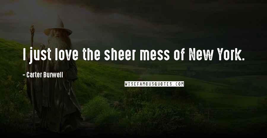 Carter Burwell Quotes: I just love the sheer mess of New York.