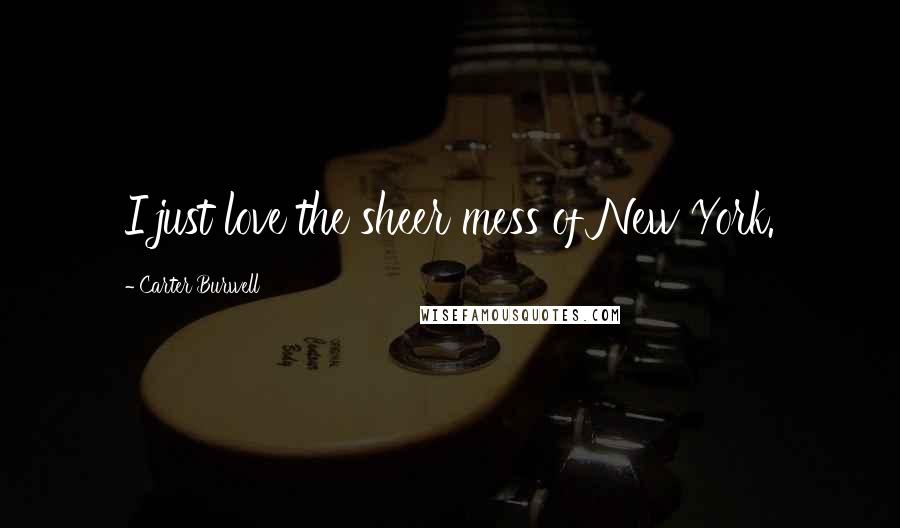 Carter Burwell Quotes: I just love the sheer mess of New York.