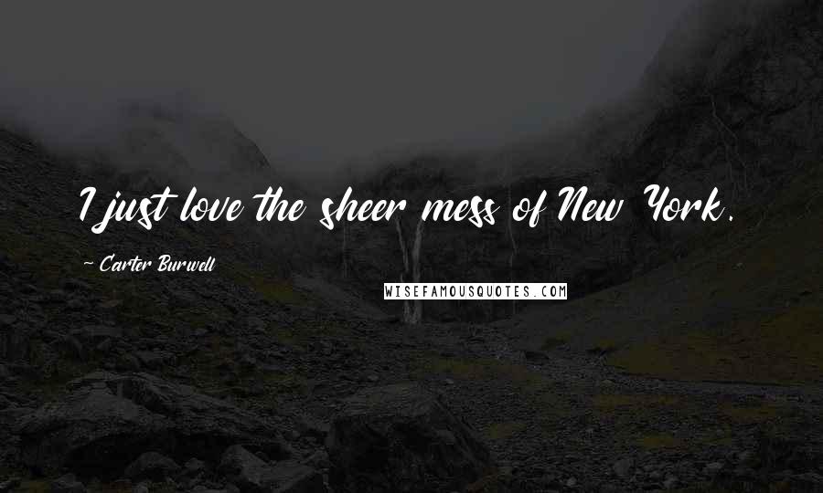 Carter Burwell Quotes: I just love the sheer mess of New York.