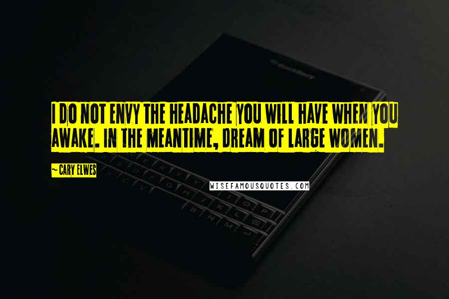 Cary Elwes Quotes: I do not envy the headache you will have when you awake. In the meantime, dream of large women.