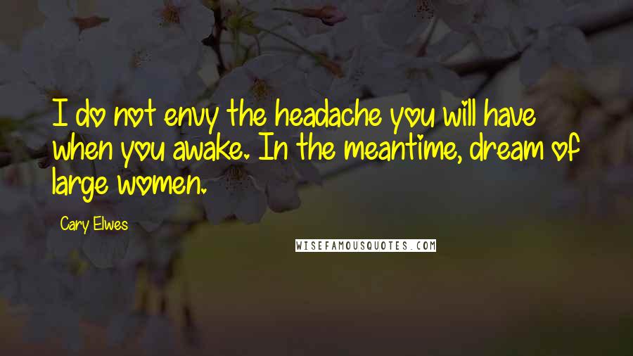 Cary Elwes Quotes: I do not envy the headache you will have when you awake. In the meantime, dream of large women.