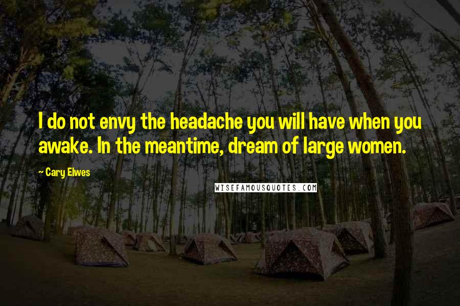 Cary Elwes Quotes: I do not envy the headache you will have when you awake. In the meantime, dream of large women.