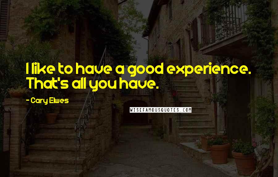 Cary Elwes Quotes: I like to have a good experience. That's all you have.