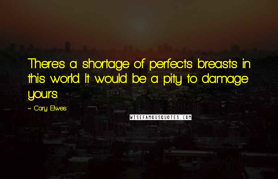 Cary Elwes Quotes: There's a shortage of perfects breasts in this world. It would be a pity to damage yours.