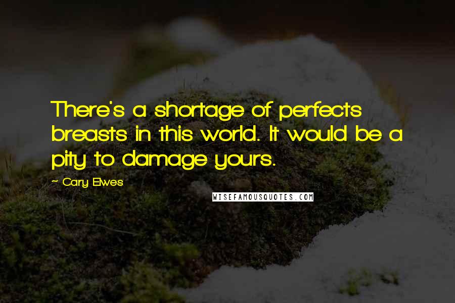 Cary Elwes Quotes: There's a shortage of perfects breasts in this world. It would be a pity to damage yours.