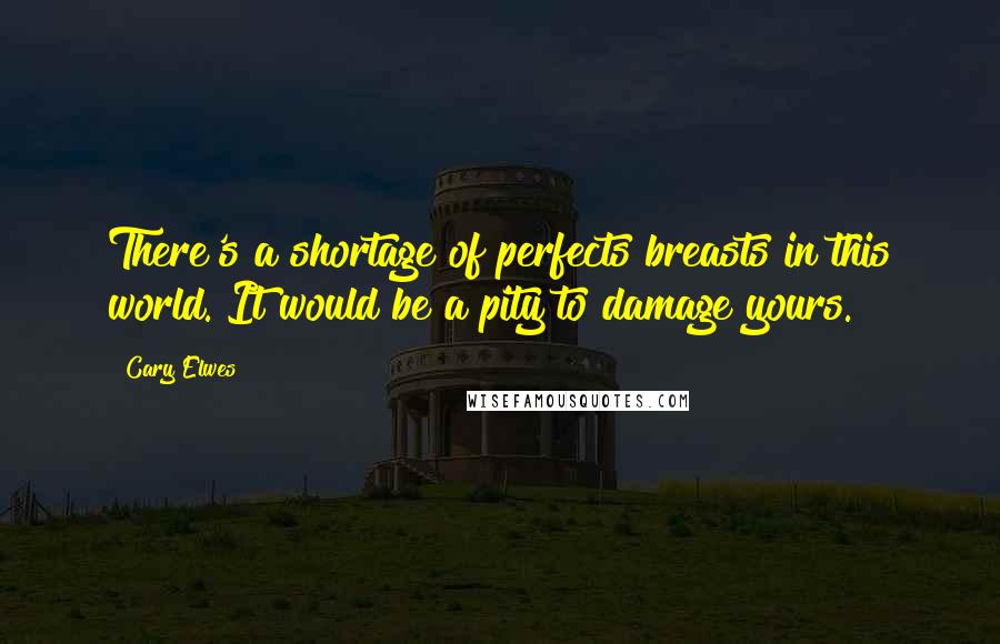 Cary Elwes Quotes: There's a shortage of perfects breasts in this world. It would be a pity to damage yours.