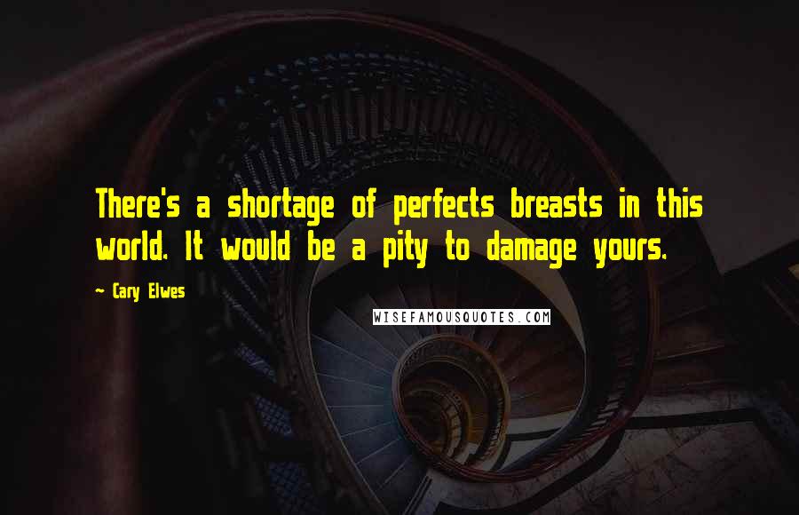 Cary Elwes Quotes: There's a shortage of perfects breasts in this world. It would be a pity to damage yours.