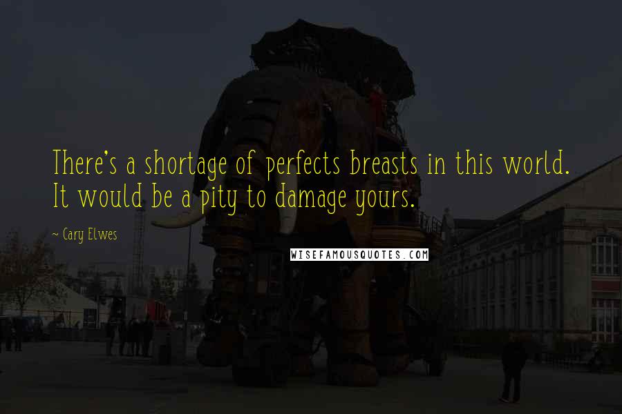 Cary Elwes Quotes: There's a shortage of perfects breasts in this world. It would be a pity to damage yours.