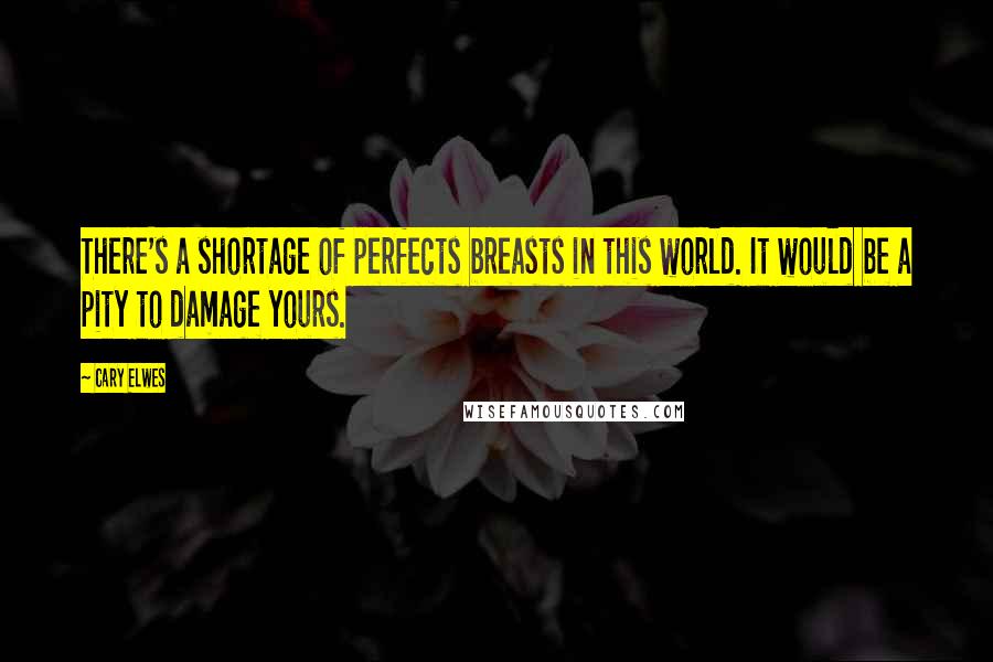 Cary Elwes Quotes: There's a shortage of perfects breasts in this world. It would be a pity to damage yours.