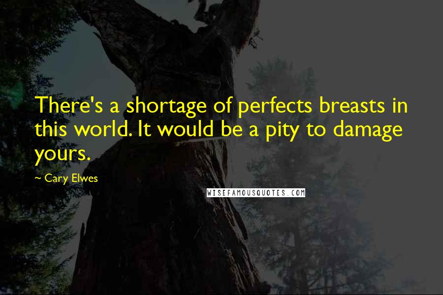 Cary Elwes Quotes: There's a shortage of perfects breasts in this world. It would be a pity to damage yours.