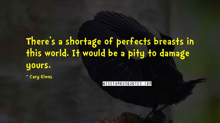 Cary Elwes Quotes: There's a shortage of perfects breasts in this world. It would be a pity to damage yours.