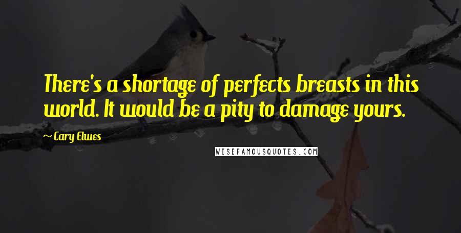 Cary Elwes Quotes: There's a shortage of perfects breasts in this world. It would be a pity to damage yours.
