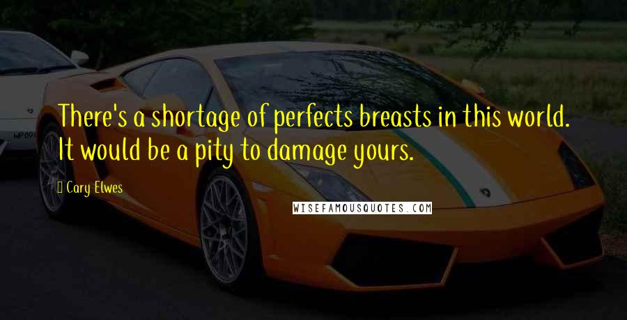Cary Elwes Quotes: There's a shortage of perfects breasts in this world. It would be a pity to damage yours.